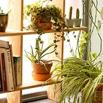 Hotel Ibis Centrum Leuven