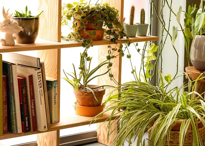 Hotel Ibis Centrum Leuven